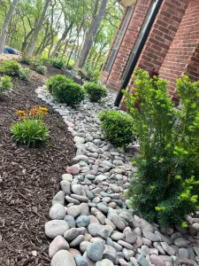 Luxury landscape design featuring river rock drainage with manicured shrubs and flowering plants against brick home