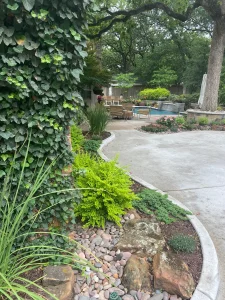 Luxury backyard transformation featuring lush landscaping, curved patio, and resort-style pool in Fort Worth