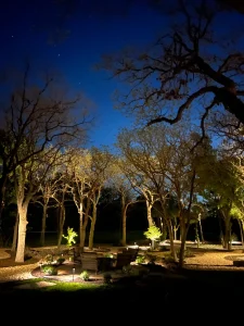 Illuminated tree-lined luxury outdoor living space with seating area and ambient landscape lighting