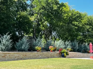 Luxury backyard with stone retaining wall, ornamental grasses, and mature trees creates sophisticated outdoor living space