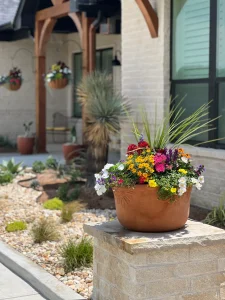 Vibrant mixed flower planter in luxury Fort Worth backyard with desert landscaping and modern patio design