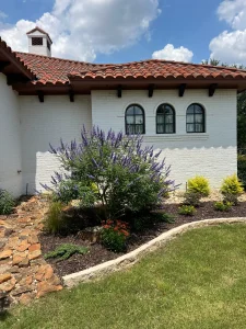 Luxury residential backyard featuring purple butterfly bush, manicured lawn, and Spanish tile roof architecture in Fort Worth
