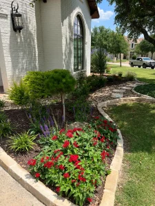 Luxury landscape design with red flowers and purple plants framing white brick home entrance