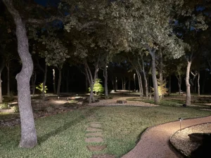 Nighttime luxury landscape design featuring illuminated trees and manicured lawn in upscale outdoor living space