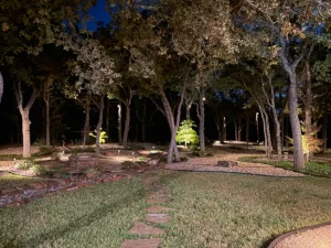 Luxury backyard transformation with mature trees, uplighting, stone pathways, and manicured lawn at night