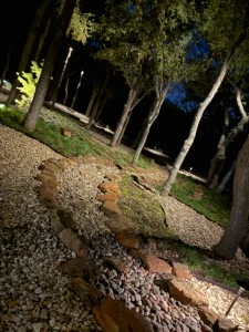 Nighttime luxury landscape design featuring illuminated trees and decorative rock pathways in Fort Worth backyard