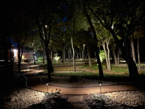 Nighttime luxury landscape design with uplighting on mature trees and elegant outdoor living spaces