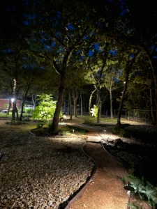 Nighttime luxury landscape design featuring illuminated trees and curved pathways in Fort Worth outdoor living space