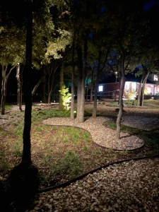 Nighttime luxury landscape design Fort Worth featuring illuminated trees and custom patio entertaining area