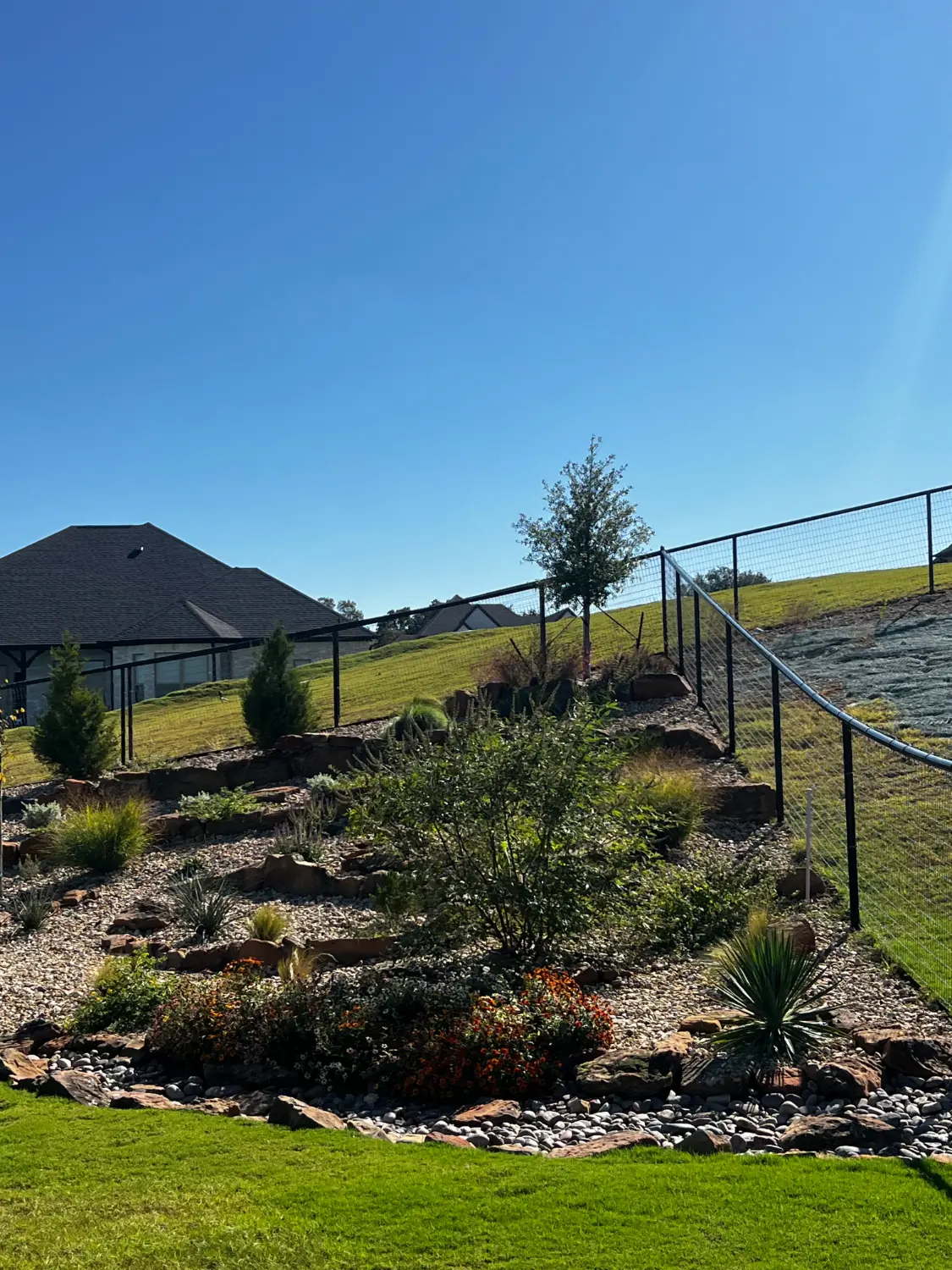 Luxury backyard transformation featuring terraced landscaping, ornamental plantings, and black metal fencing in Fort Worth