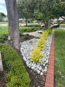 Luxury landscape design featuring white river rock pathway, yellow shrubs, and manicured hedges along residential driveway